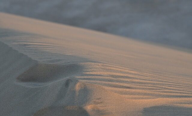 Czy katar jest rajem podatkowym?