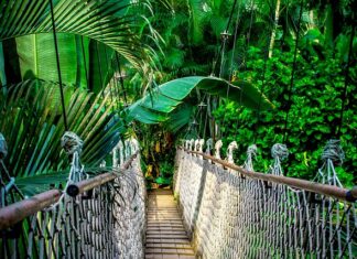 Na jaki kurs warto pójść?