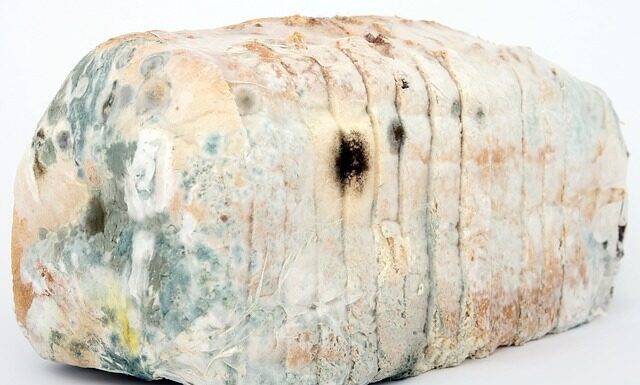 Jak często zdezynfekować ranę? Jak często zdezynfekować ranę?