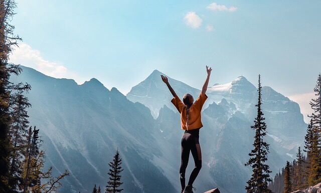 Czym różni się program od planu?