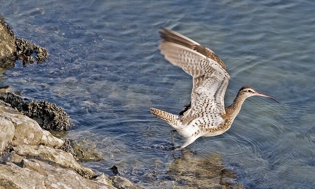 Co rozliczamy w PIT? Co rozliczamy w PIT?