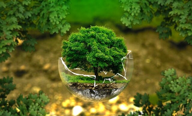 Ile stron ma dobry biznes plan?