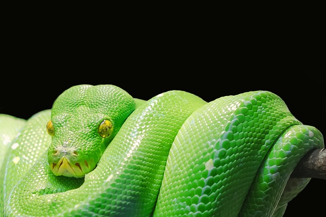 Jak uruchomić kod w Python? Jak uruchomić kod w Python?