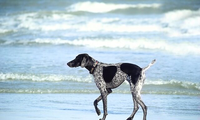 Czy można moczyć rany? Czy można moczyć rany?
