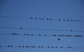 Jaki kraj w Europie do emigracji? Jaki kraj w Europie do emigracji?