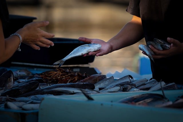 Jak sprzedawać w internecie za darmo? Jak sprzedawać w internecie za darmo?