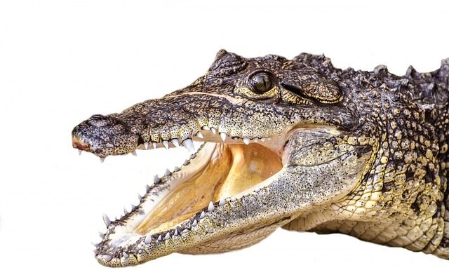 Czy da się przeżyć za 100 zł tygodniowo? Czy da się przeżyć za 100 zł tygodniowo?